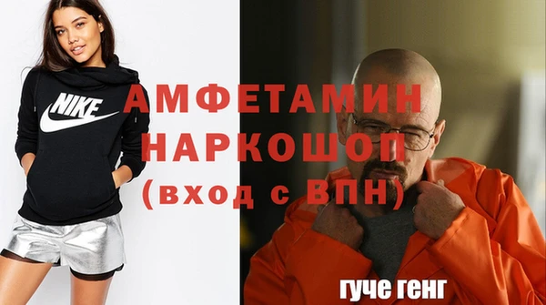 крисы Новозыбков