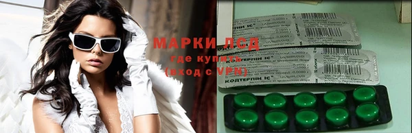 крисы Новозыбков