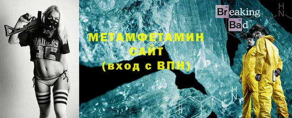 крисы Новозыбков
