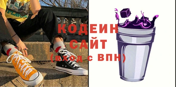 крисы Новозыбков