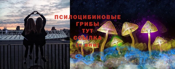 ГАЛЛЮЦИНОГЕННЫЕ ГРИБЫ Новодвинск